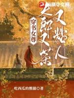 女尊夫郎耐打