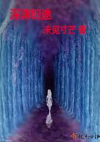 深渊归途评价