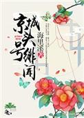 京城头号绯闻全本资源