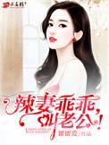 辣妻乖乖叫老公免费阅读