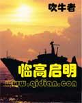 临高启明什么时候开始写的