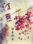 红豆包粽子要泡多长时间