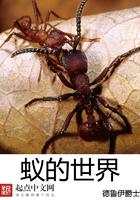 蚂蚁的世界是什么样子