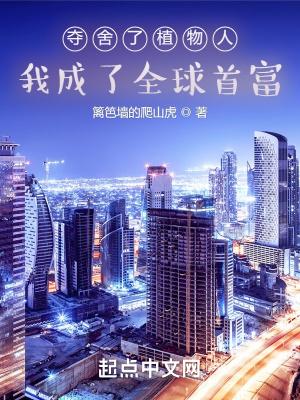 我成了全球首富百度