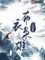 布衣枭雄全部人物介绍