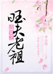 清穿之旺夫老祖晋江