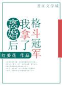 离婚后我拿了格斗冠军txt