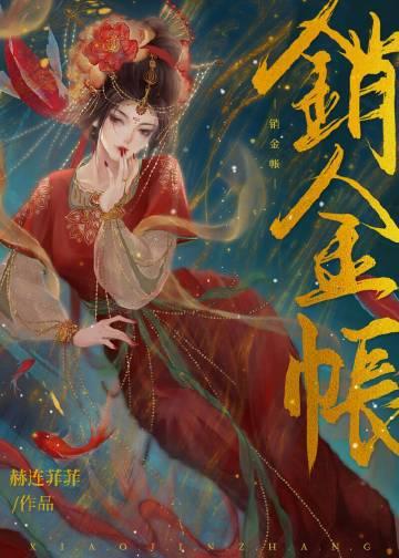 销金帐赫连菲菲全文免费阅读