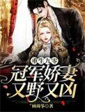 重生九零冠军娇妻又野又凶免费阅读无弹窗