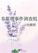 非常规事件调查组全文免费阅读by山色酿酒