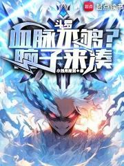 斗罗最强血脉系统