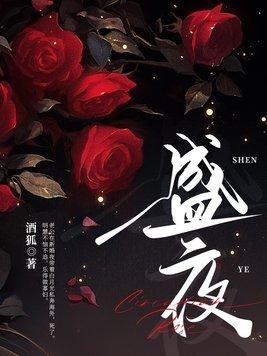 盛夜林语