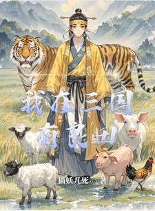 我在三国强无敌全文