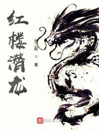 红楼潜龙几个老婆