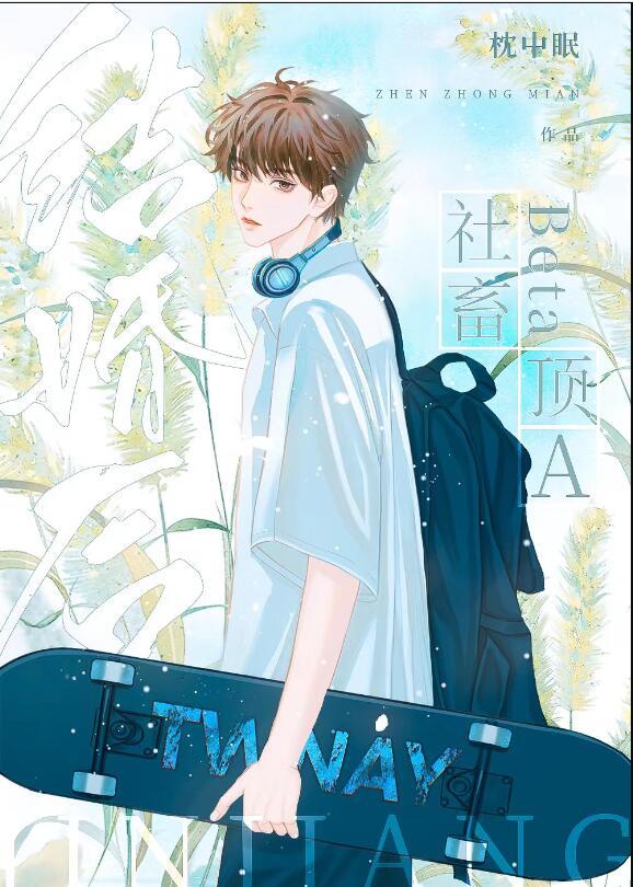 社畜beta和顶A结婚后枕中眠
