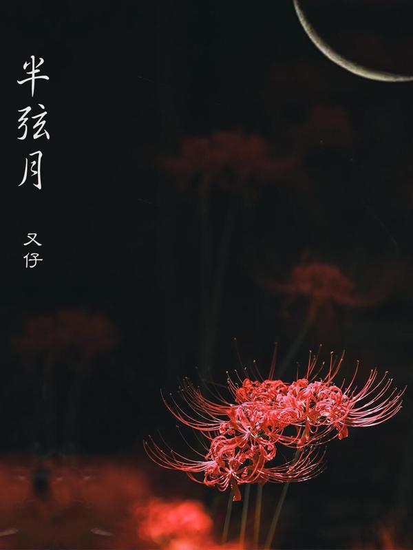 半弦月是杂牌子还是名牌