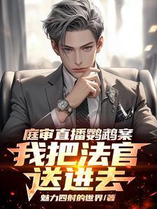 我把法官送进去了吗
