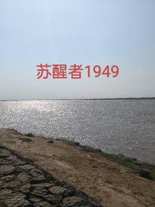 苏醒者调和