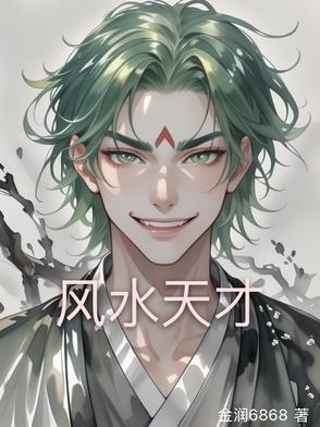 天才风水传人