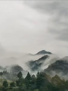 神秘复苏!