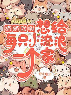 我要给我的小猫猫