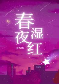春夜免费阅读无弹窗