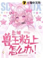 兽王17