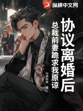 前妻总裁求复婚全文免费阅读
