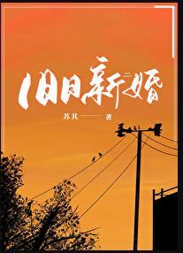旧日新婚苏其讲的什么