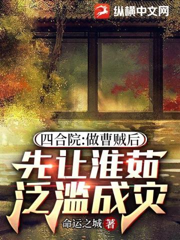 先让淮茹泛滥成灾未删减版本