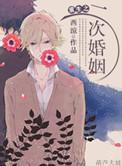 重生之再婚一次番外