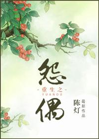 重生之怨偶陈灯晋江